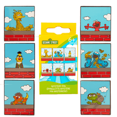 sesame street neighborhood friends mystery box pin