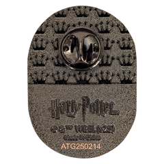 harry potter exclusive quidditch mystery box pin